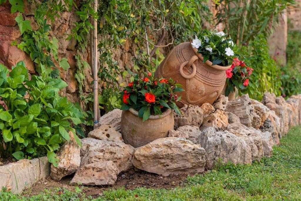 San Agustín Casa Fusterゲストハウス エクステリア 写真