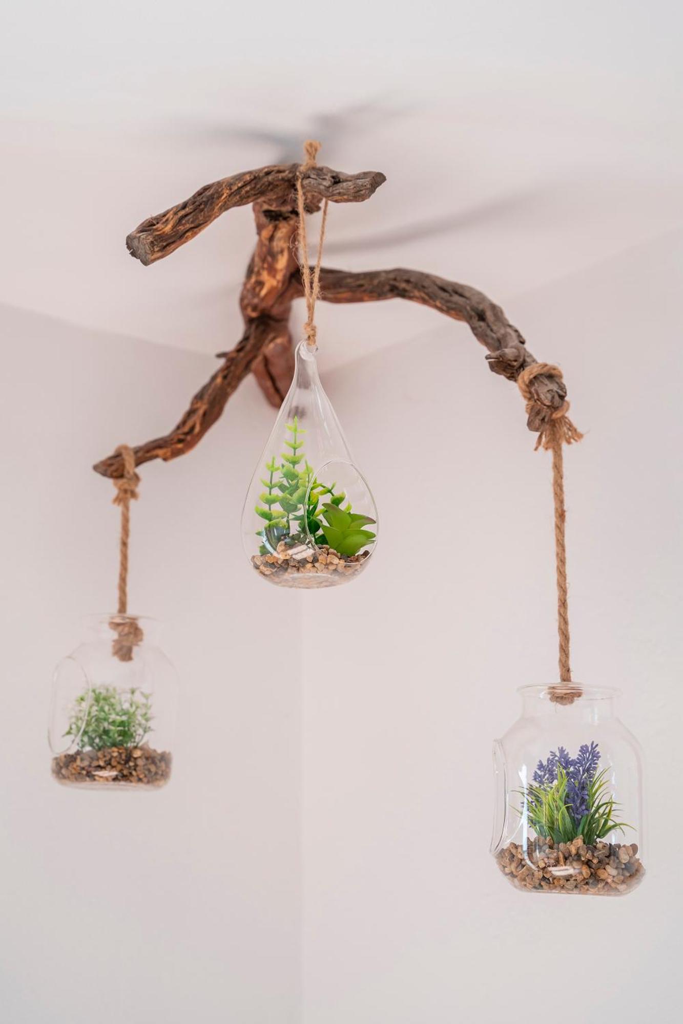 San Agustín Casa Fusterゲストハウス エクステリア 写真