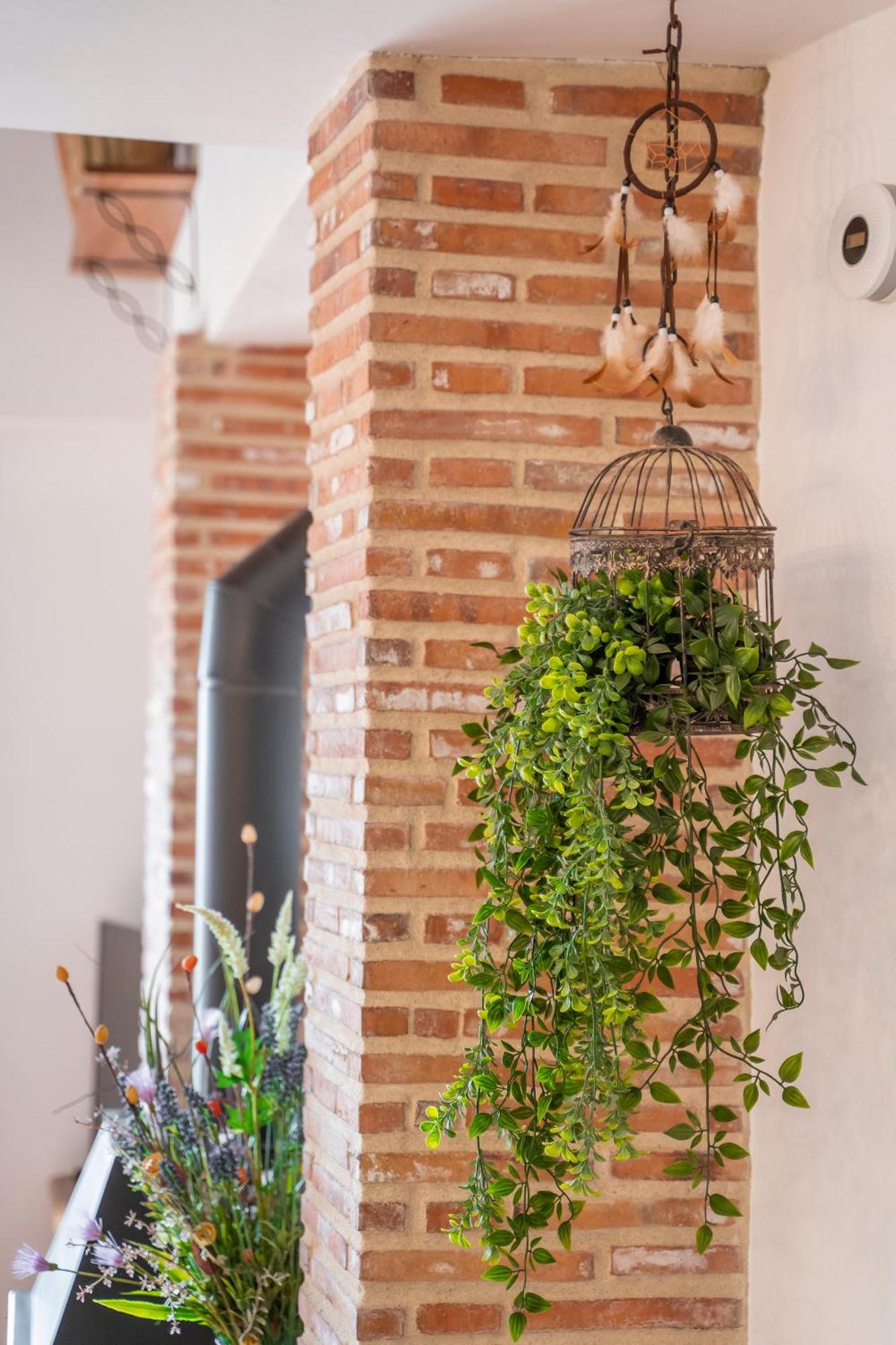 San Agustín Casa Fusterゲストハウス エクステリア 写真